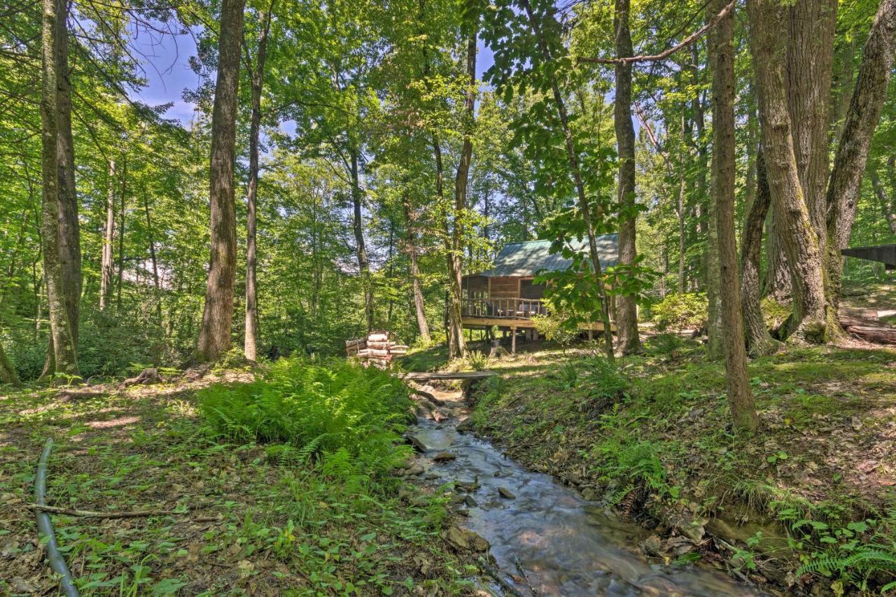 Creekside Cabin With Deck In Pisgah Forest! Barnardsville Eksteriør bilde
