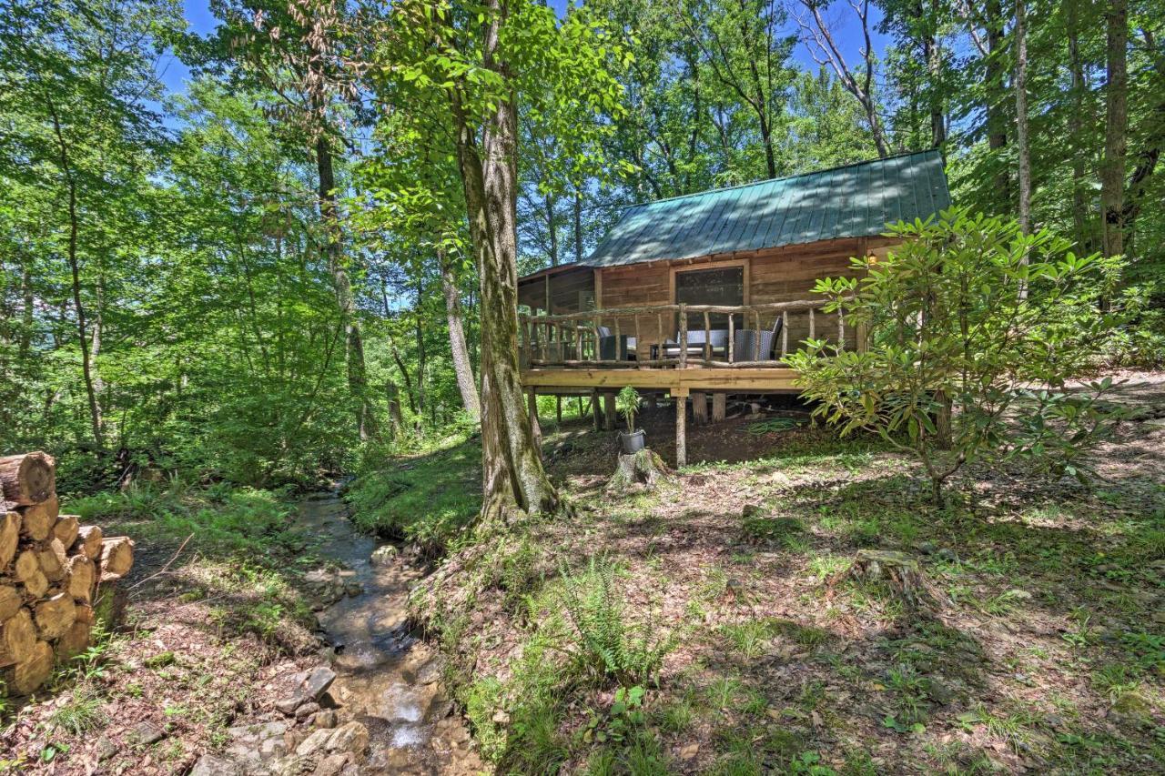 Creekside Cabin With Deck In Pisgah Forest! Barnardsville Eksteriør bilde