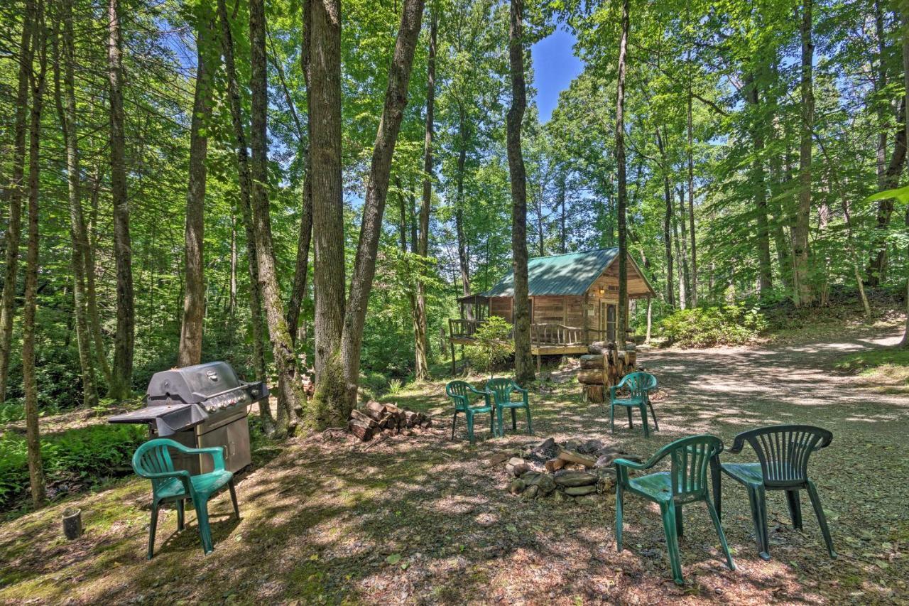 Creekside Cabin With Deck In Pisgah Forest! Barnardsville Eksteriør bilde